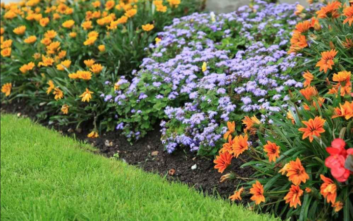 Entretien de jardin, Claix