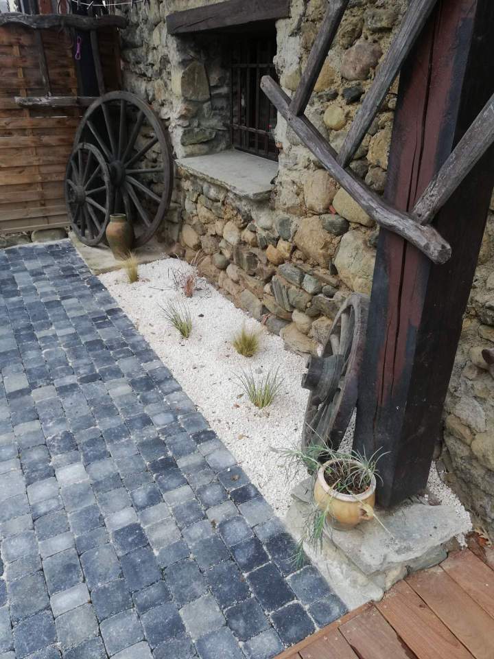 Mini création végétale