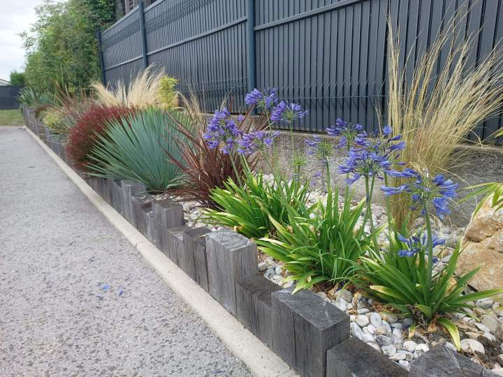 IMG 20230801 101611061