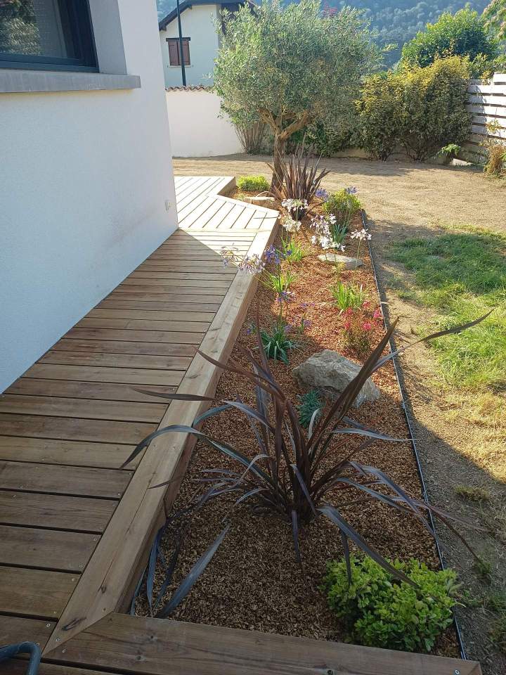 Création végétale 