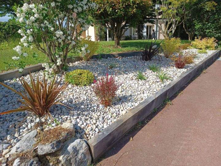 Plantations harmonieuses pour sublimer votre jardin