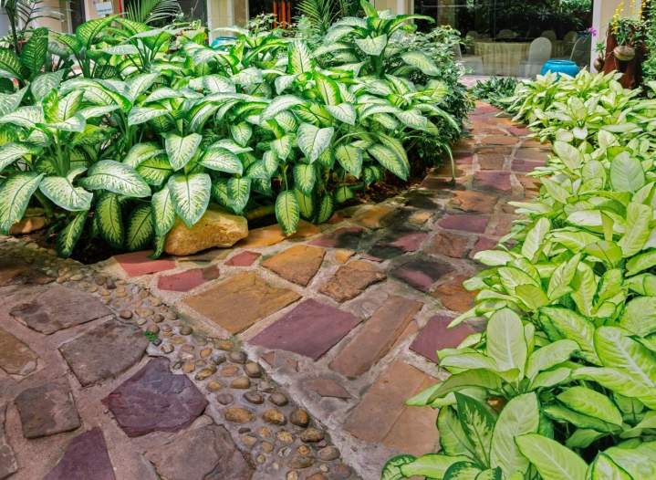 Création allées Eychirolles