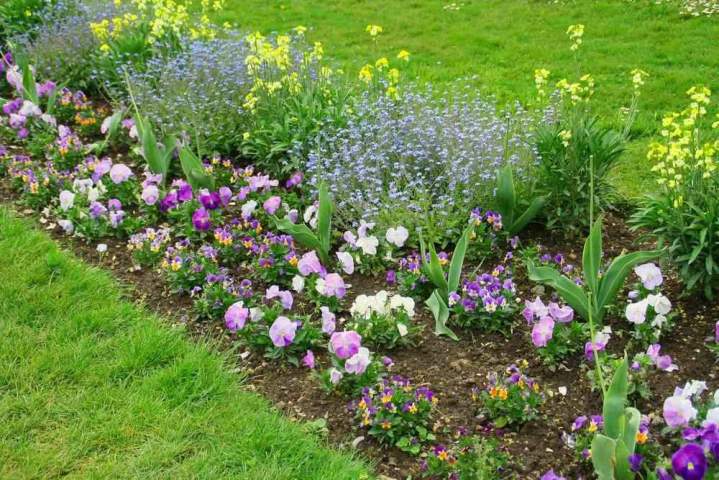 Aménagement de jardins  à proximité d'Échirolles